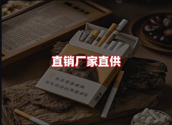 专业团队